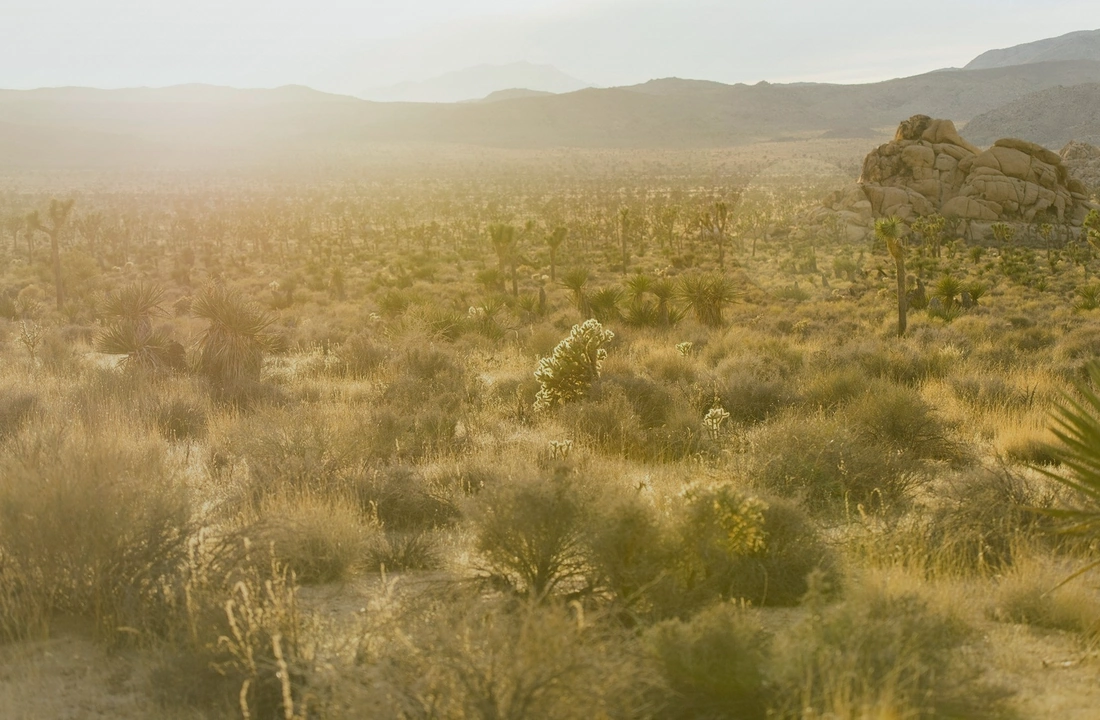 Arizona parcel tax options and buyer review for Tax on Selling Land in Arizona