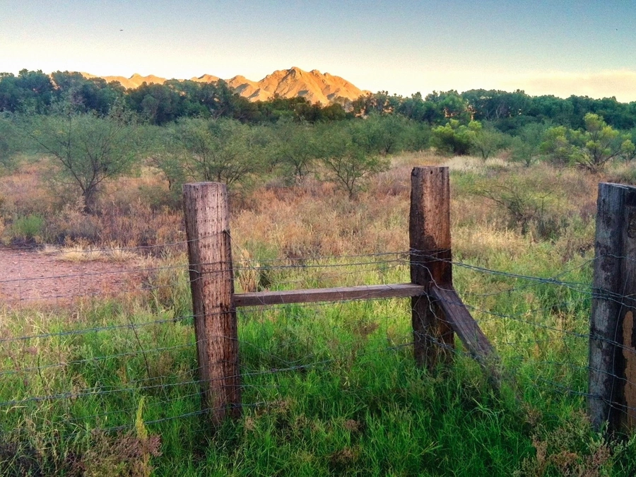 Rural Access Parcels in Show Low
